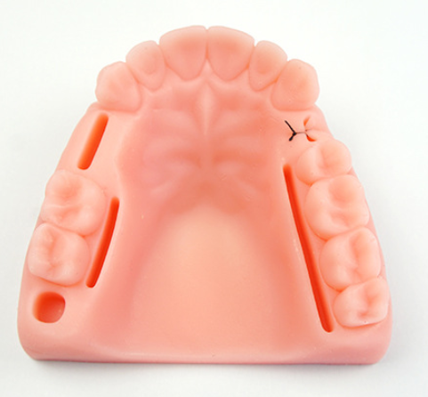 TM-SPK01 Dental Suture Practice Kit